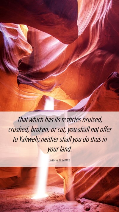 Picture 06 - Leviticus 22:24 WEB Mobile Phone Wallpaper - That which has its testicles bruised, crushed, - Mobile Bible Verse Wallpaper