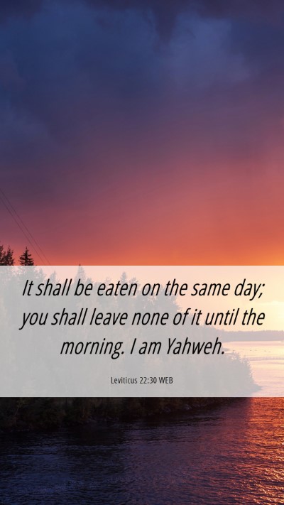 Picture 06 - Leviticus 22:30 WEB Mobile Phone Wallpaper - It shall be eaten on the same day; you shall - Mobile Bible Verse Wallpaper
