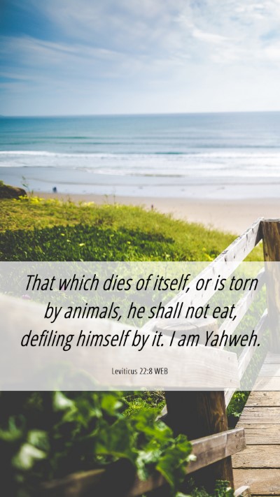 Picture 06 - Leviticus 22:8 WEB Mobile Phone Wallpaper - That which dies of itself, or is torn by animals, - Mobile Bible Verse Wallpaper