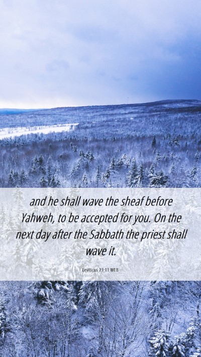 Picture 06 - Leviticus 23:11 WEB Mobile Phone Wallpaper - and he shall wave the sheaf before Yahweh, to be - Mobile Bible Verse Wallpaper