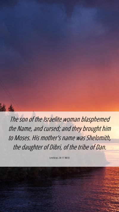 Picture 06 - Leviticus 24:11 WEB Mobile Phone Wallpaper - The son of the Israelite woman blasphemed the - Mobile Bible Verse Wallpaper