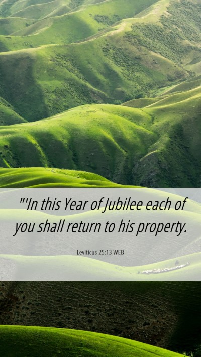 Picture 06 - Leviticus 25:13 WEB Mobile Phone Wallpaper - 