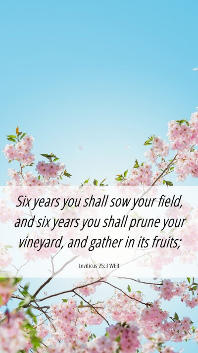 Picture 06 - Leviticus 25:3 WEB Mobile Phone Wallpaper - Six years you shall sow your field, and six years - Mobile Bible Verse Wallpaper