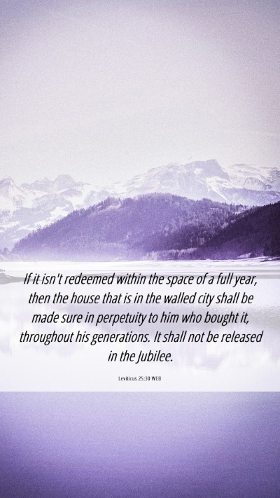 Picture 06 - Leviticus 25:30 WEB Mobile Phone Wallpaper - If it isn't redeemed within the space of a full - Mobile Bible Verse Wallpaper