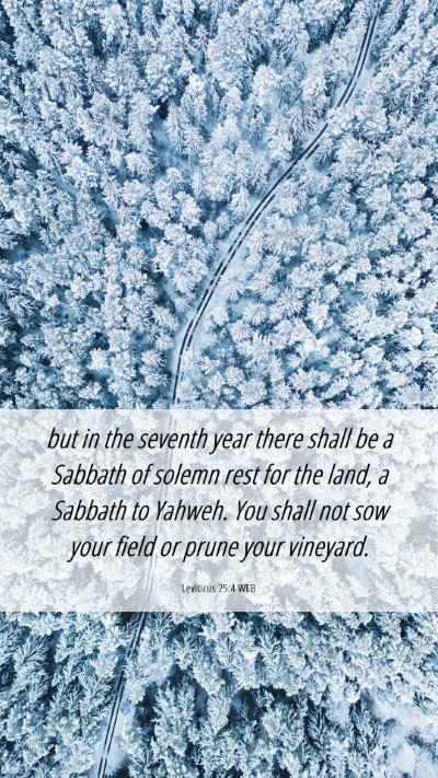 Picture 06 - Leviticus 25:4 WEB Mobile Phone Wallpaper - but in the seventh year there shall be a Sabbath - Mobile Bible Verse Wallpaper