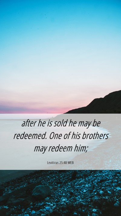 Picture 06 - Leviticus 25:48 WEB Mobile Phone Wallpaper - after he is sold he may be redeemed. One of his - Mobile Bible Verse Wallpaper