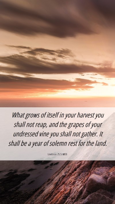 Picture 06 - Leviticus 25:5 WEB Mobile Phone Wallpaper - What grows of itself in your harvest you shall - Mobile Bible Verse Wallpaper
