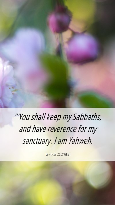 Picture 06 - Leviticus 26:2 WEB Mobile Phone Wallpaper - 