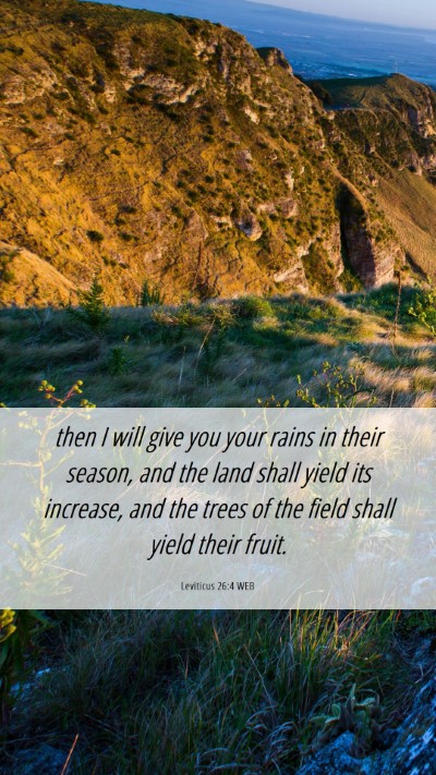 Picture 06 - Leviticus 26:4 WEB Mobile Phone Wallpaper - then I will give you your rains in their season, - Mobile Bible Verse Wallpaper