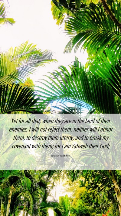 Picture 06 - Leviticus 26:44 WEB Mobile Phone Wallpaper - Yet for all that, when they are in the land of - Mobile Bible Verse Wallpaper