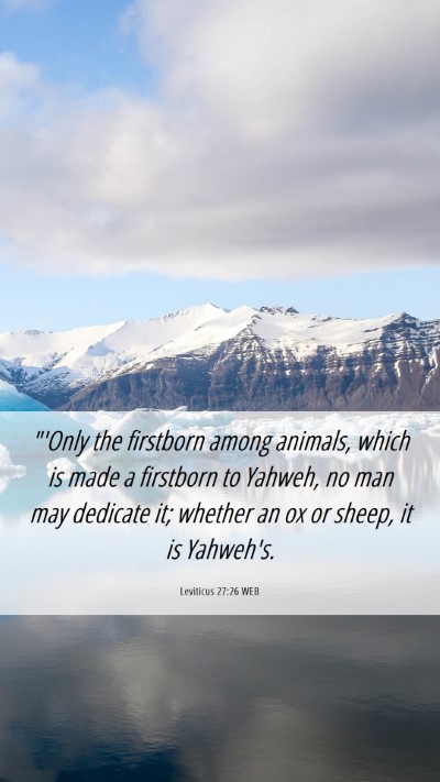 Picture 06 - Leviticus 27:26 WEB Mobile Phone Wallpaper - 
