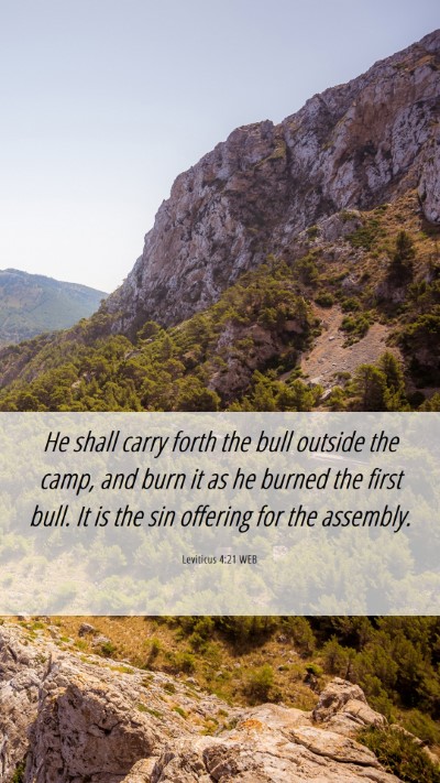 Picture 06 - Leviticus 4:21 WEB Mobile Phone Wallpaper - He shall carry forth the bull outside the camp, - Mobile Bible Verse Wallpaper