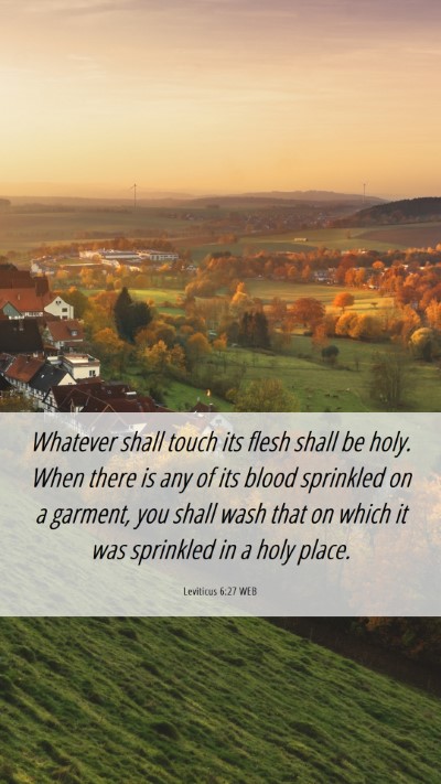 Picture 06 - Leviticus 6:27 WEB Mobile Phone Wallpaper - Whatever shall touch its flesh shall be holy. - Mobile Bible Verse Wallpaper