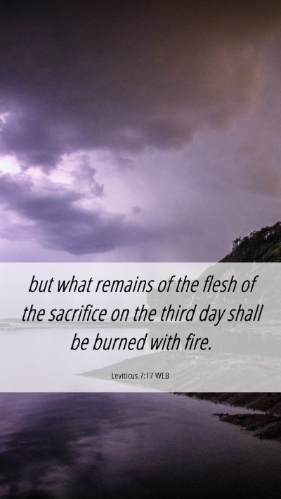 Picture 06 - Leviticus 7:17 WEB Mobile Phone Wallpaper - but what remains of the flesh of the sacrifice on - Mobile Bible Verse Wallpaper