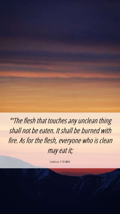 Picture 06 - Leviticus 7:19 WEB Mobile Phone Wallpaper - 