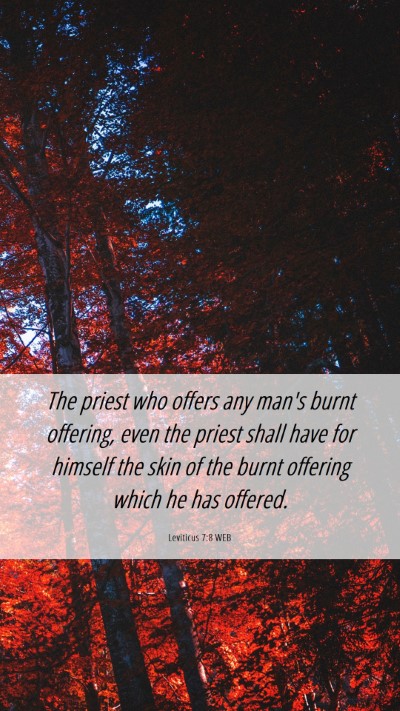 Picture 06 - Leviticus 7:8 WEB Mobile Phone Wallpaper - The priest who offers any man's burnt offering, - Mobile Bible Verse Wallpaper