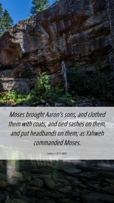 Picture 06 - Leviticus 8:13 WEB Mobile Phone Wallpaper - Moses brought Aaron's sons, and clothed them with - Mobile Bible Verse Wallpaper