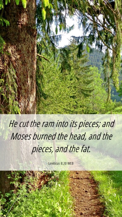 Picture 06 - Leviticus 8:20 WEB Mobile Phone Wallpaper - He cut the ram into its pieces; and Moses burned - Mobile Bible Verse Wallpaper