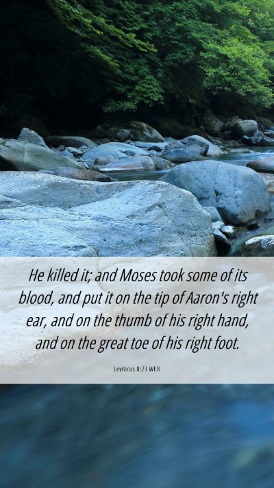 Picture 06 - Leviticus 8:23 WEB Mobile Phone Wallpaper - He killed it; and Moses took some of its blood, - Mobile Bible Verse Wallpaper