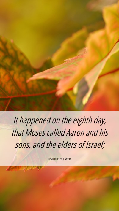 Picture 06 - Leviticus 9:1 WEB Mobile Phone Wallpaper - It happened on the eighth day, that Moses called - Mobile Bible Verse Wallpaper