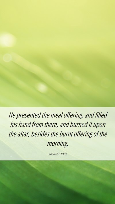 Picture 06 - Leviticus 9:17 WEB Mobile Phone Wallpaper - He presented the meal offering, and filled his - Mobile Bible Verse Wallpaper