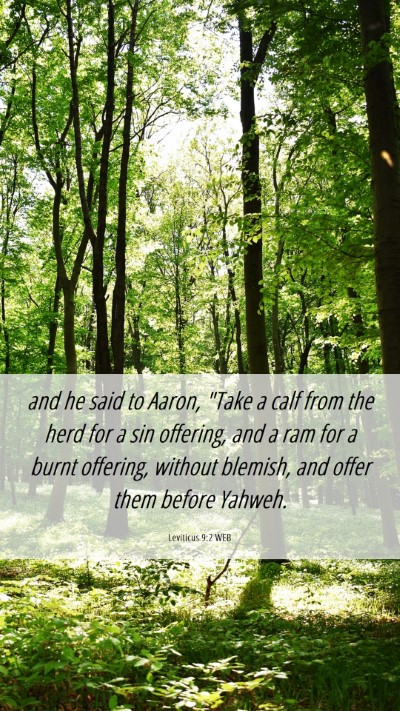 Picture 06 - Leviticus 9:2 WEB Mobile Phone Wallpaper - and he said to Aaron, 