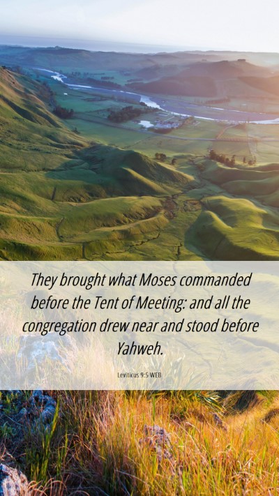Picture 06 - Leviticus 9:5 WEB Mobile Phone Wallpaper - They brought what Moses commanded before the Tent - Mobile Bible Verse Wallpaper