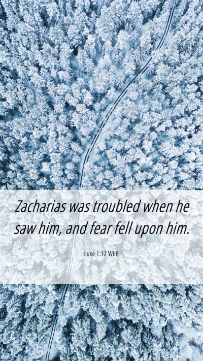 Picture 06 - Luke 1:12 WEB Mobile Phone Wallpaper - Zacharias was troubled when he saw him, and fear - Mobile Bible Verse Wallpaper