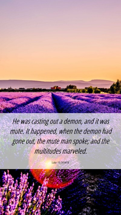 Picture 06 - Luke 11:14 WEB Mobile Phone Wallpaper - He was casting out a demon, and it was mute. It - Mobile Bible Verse Wallpaper