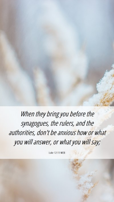 Picture 06 - Luke 12:11 WEB Mobile Phone Wallpaper - When they bring you before the synagogues, the - Mobile Bible Verse Wallpaper