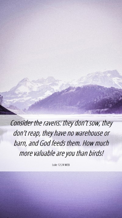 Picture 06 - Luke 12:24 WEB Mobile Phone Wallpaper - Consider the ravens: they don't sow, they don't - Mobile Bible Verse Wallpaper
