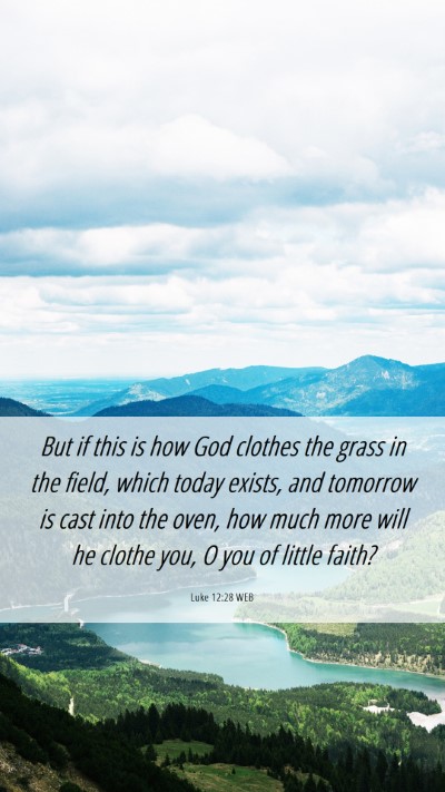 Picture 06 - Luke 12:28 WEB Mobile Phone Wallpaper - But if this is how God clothes the grass in the - Mobile Bible Verse Wallpaper