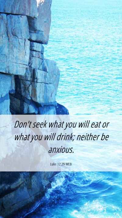 Picture 06 - Luke 12:29 WEB Mobile Phone Wallpaper - Don't seek what you will eat or what you will - Mobile Bible Verse Wallpaper