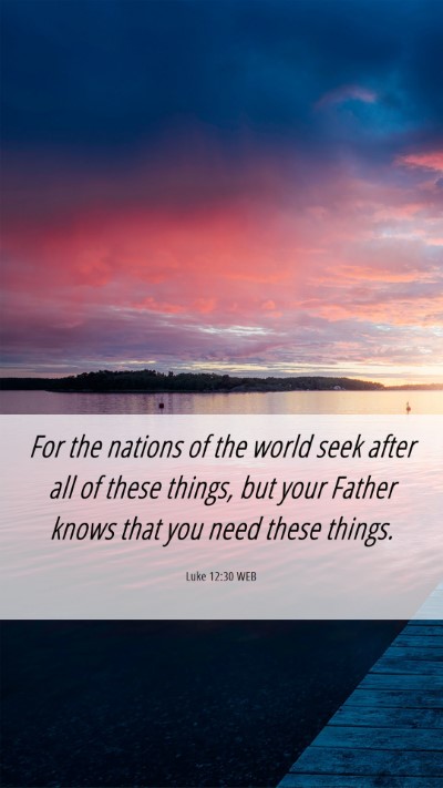 Picture 06 - Luke 12:30 WEB Mobile Phone Wallpaper - For the nations of the world seek after all of - Mobile Bible Verse Wallpaper