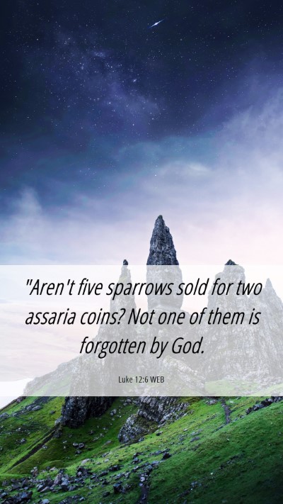 Picture 06 - Luke 12:6 WEB Mobile Phone Wallpaper - 