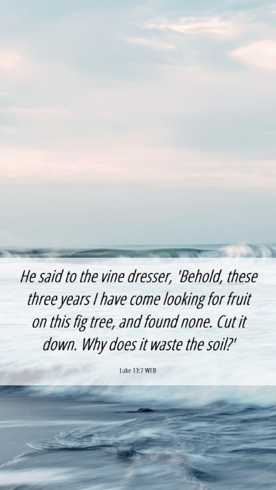Picture 06 - Luke 13:7 WEB Mobile Phone Wallpaper - He said to the vine dresser, 'Behold, these three - Mobile Bible Verse Wallpaper