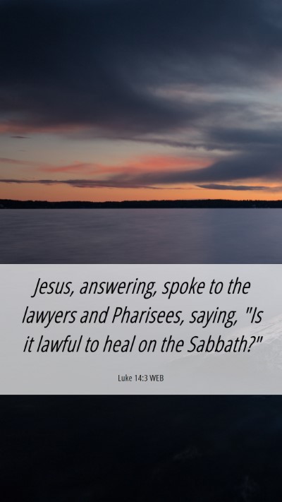 Picture 06 - Luke 14:3 WEB Mobile Phone Wallpaper - Jesus, answering, spoke to the lawyers and - Mobile Bible Verse Wallpaper