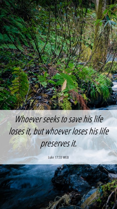 Picture 06 - Luke 17:33 WEB Mobile Phone Wallpaper - Whoever seeks to save his life loses it, but - Mobile Bible Verse Wallpaper