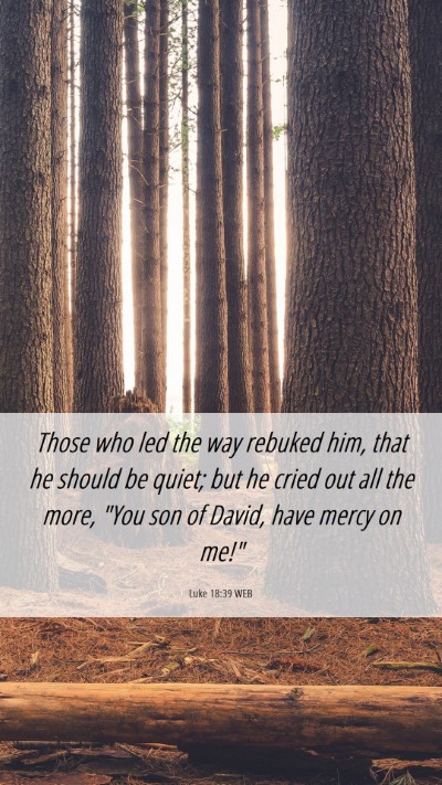 Picture 06 - Luke 18:39 WEB Mobile Phone Wallpaper - Those who led the way rebuked him, that he should - Mobile Bible Verse Wallpaper