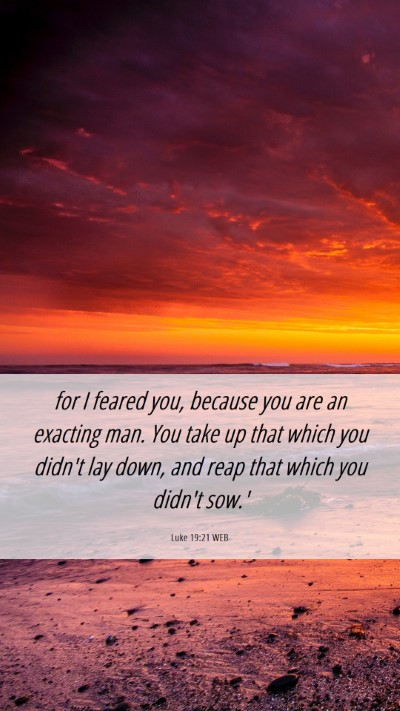 Picture 06 - Luke 19:21 WEB Mobile Phone Wallpaper - for I feared you, because you are an exacting - Mobile Bible Verse Wallpaper