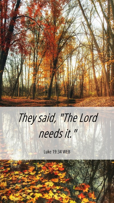 Picture 06 - Luke 19:34 WEB Mobile Phone Wallpaper - They said, 