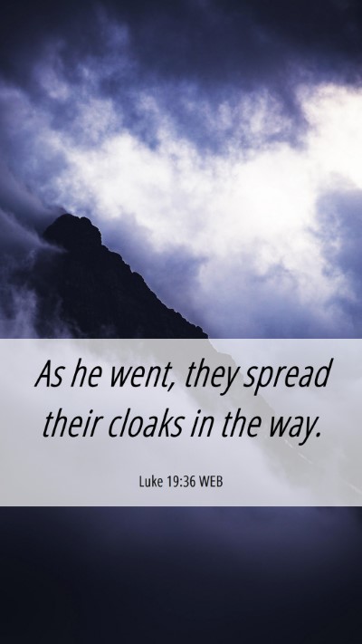 Picture 06 - Luke 19:36 WEB Mobile Phone Wallpaper - As he went, they spread their cloaks in the - Mobile Bible Verse Wallpaper