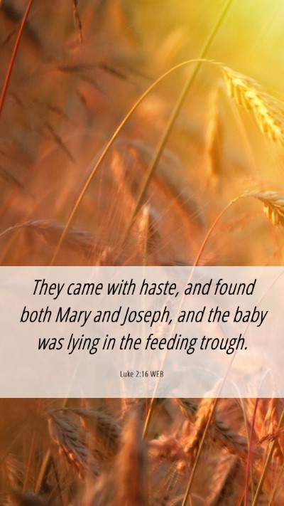 Picture 06 - Luke 2:16 WEB Mobile Phone Wallpaper - They came with haste, and found both Mary and - Mobile Bible Verse Wallpaper