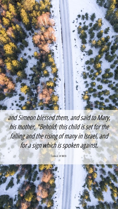 Picture 06 - Luke 2:34 WEB Mobile Phone Wallpaper - and Simeon blessed them, and said to Mary, his - Mobile Bible Verse Wallpaper