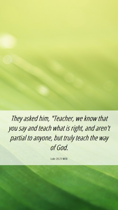 Picture 06 - Luke 20:21 WEB Mobile Phone Wallpaper - They asked him, 