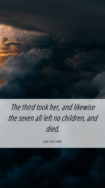 Picture 06 - Luke 20:31 WEB Mobile Phone Wallpaper - The third took her, and likewise the seven all - Mobile Bible Verse Wallpaper