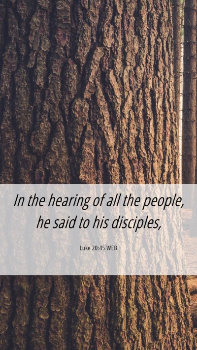 Picture 06 - Luke 20:45 WEB Mobile Phone Wallpaper - In the hearing of all the people, he said to his - Mobile Bible Verse Wallpaper