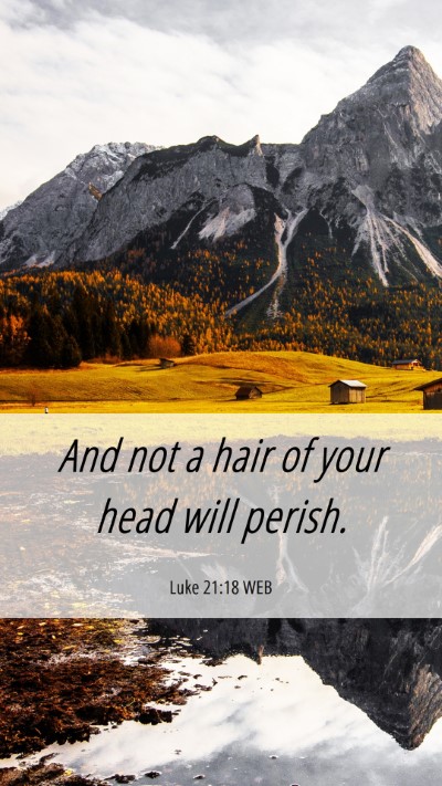 Picture 06 - Luke 21:18 WEB Mobile Phone Wallpaper - And not a hair of your head will - Mobile Bible Verse Wallpaper