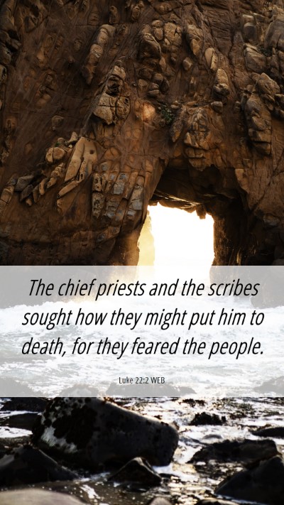 Picture 06 - Luke 22:2 WEB Mobile Phone Wallpaper - The chief priests and the scribes sought how they - Mobile Bible Verse Wallpaper