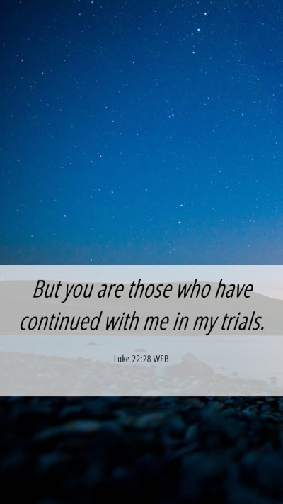Picture 06 - Luke 22:28 WEB Mobile Phone Wallpaper - But you are those who have continued with me in - Mobile Bible Verse Wallpaper